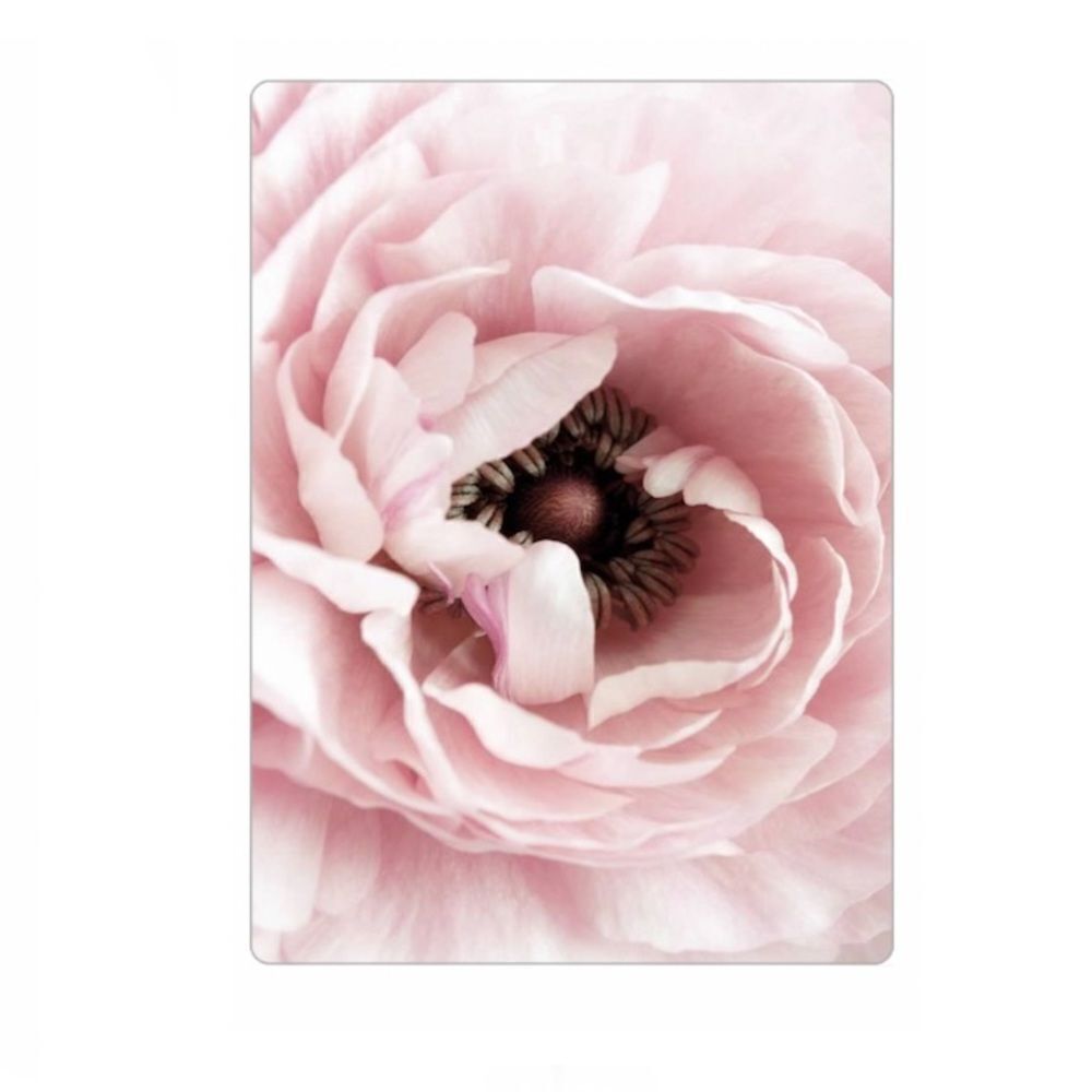 Flower Blossom Peony Magnet